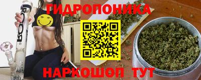 apvp Брянск
