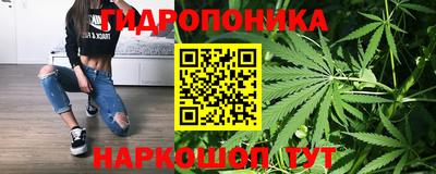 apvp Брянск
