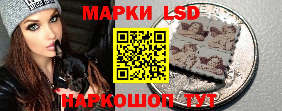 LSD-25 экстази кислота  Лсд 25 экстази кислота  ссылка на мегу вход  Кондопога  Вход с VPN  ЛСД экстази 