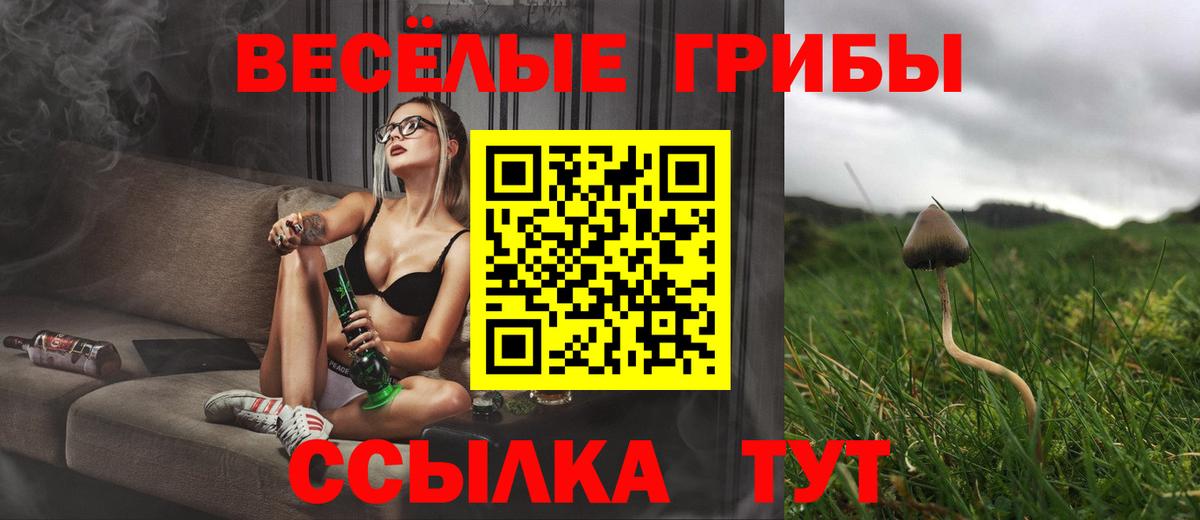 Кондопога  Галлюциногенные грибы мухоморы  Вход с VPN 