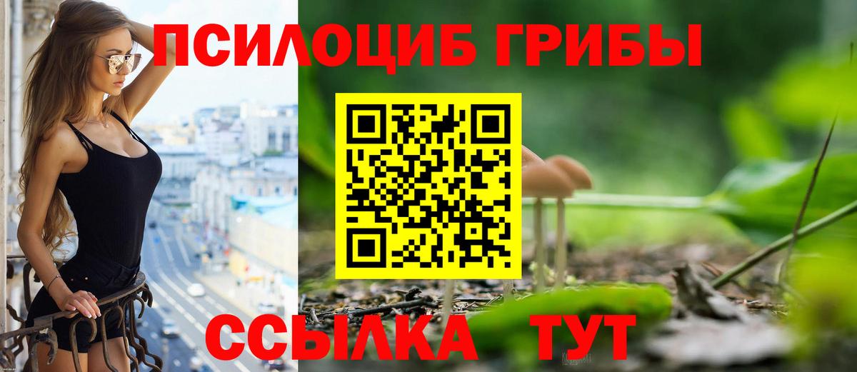 Псилоцибиновые грибы прущие грибы Кондопога